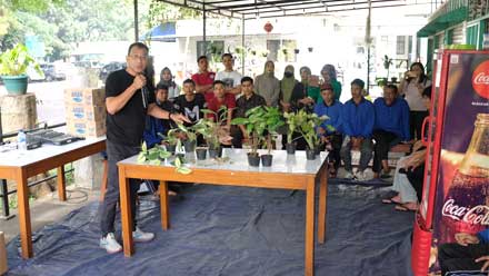 Kemensos Budidayakan Tanaman Hias
