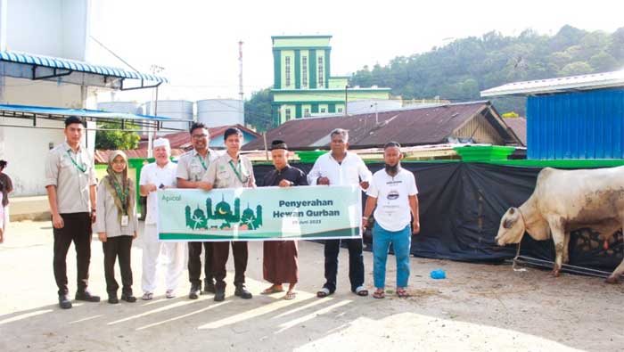 PT Padang Raya Cakrawala Serahkan Hewan Kurban ke Masyarakat Sekitar