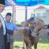 Presiden dan Gubernur Mahyeldi Potong Sapi Kurbannya di Masjid Raya Sumbar