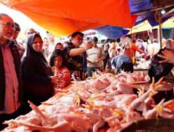 Mendag Tinjau Pasar Kalianda Di Lampung, Harga Bahan Pokok Stabil