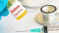 vaksin rabies