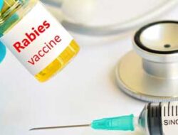Sawahlunto Dapat 2.000 Dosis Vaksin Rabies Tahun Ini