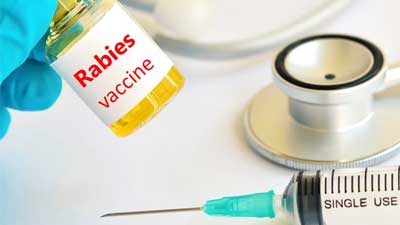 vaksin rabies