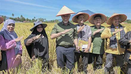 Panen Raya Padi Organik di Koto Tangah Agam, Gubernur Sumbar: Pertanian Organik Lebih Menguntungkan! 1 Gubernur Mahyeldi saat menghadiri panen raya padi organik, yang digelar oleh Kelompok Tani Amor di Nagari Koto Tangah