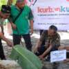 BMT Binamas Purworejo Salurkan 64 Kambing dan 2 Ekor Sapi Kurban