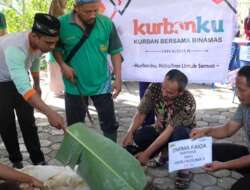 BMT Binamas Purworejo Salurkan 64 Kambing dan 2 Ekor Sapi Kurban