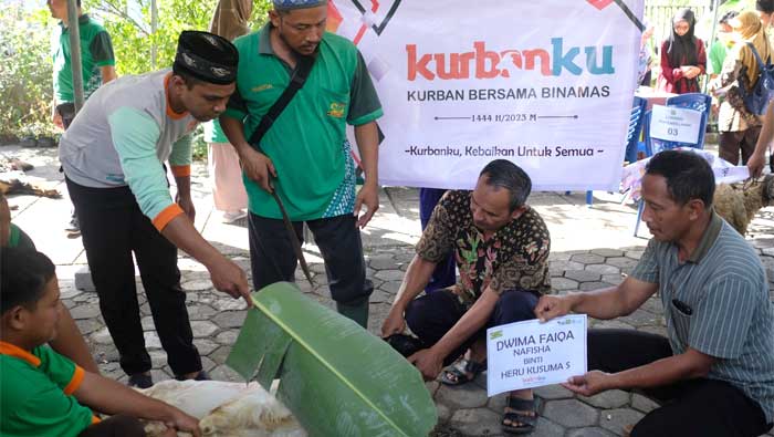 BMT Binamas Purworejo Salurkan 64 Kambing dan 2 Ekor Sapi Kurban 1 BMT Binamas Purworejo Salurkan 64 Kambing dan 2 Ekor Sapi Kurban