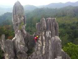 Tiga Universitas Ini Pilih Geopark Sawahlunto sebagai Kampus Lapangan
