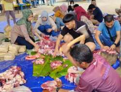 Rayakan Idul Adha 1444 H, Dinkominfo Muba Berkurban 3 Ekor Sapi