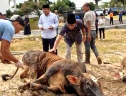 KORPRI Bukittinggi Sembelih 7 Hewan Kurban