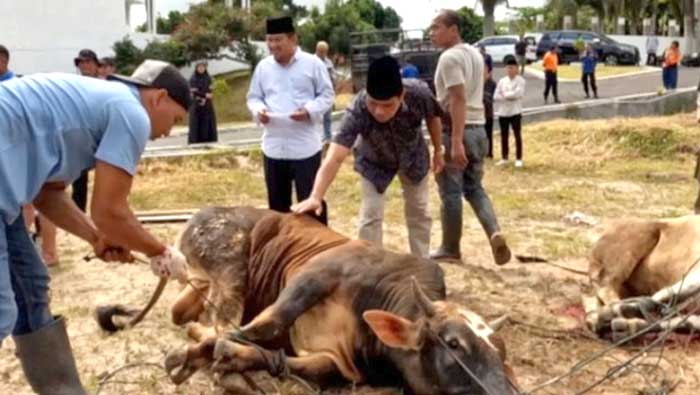 KORPRI Bukittinggi Sembelih 7 Hewan Kurban