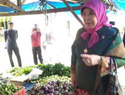 Telusuri Pasar Tradisional Simpang Tiga Pasbar, Senator Emma Yohanna Sapa Warga