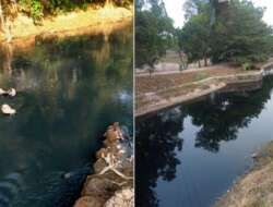 Air Menghitam, Bau dan Berbusa, Fordas Sebut Ridwan Kamil Ingkar Janji Atasi Sungai Cilamaya