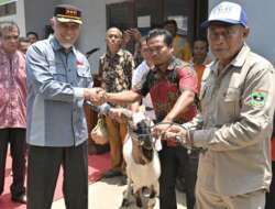 Kelompok Tani Pasaman Barat Dapat Bantuan Hewan Ternak dari Pemprov