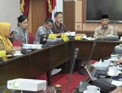 Mantap! JICA Perluas Kerja Sama Berbagai Sektor dengan Pemprov Sumbar