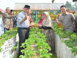 Gubernur Sumbar Buka Festival Pertanian Organik Di Masjid Al-Safar Batu Gadang, Sungai Pua