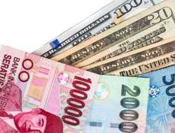 Masihkah Indonesia Bertahan Bersandar pada Dolar AS?