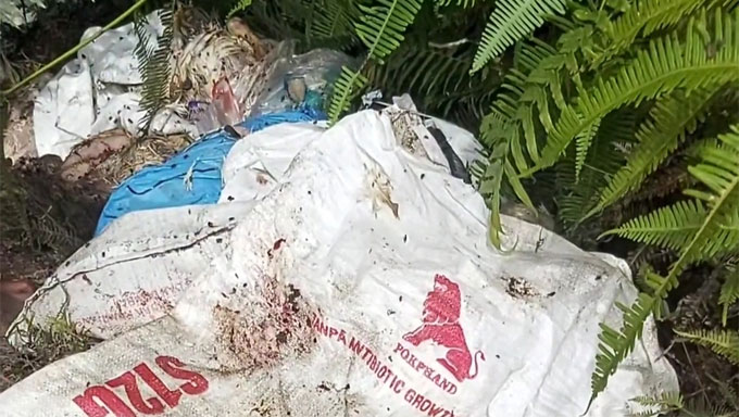 Puluhan karung goni yang berisikan bangkai ayam potong