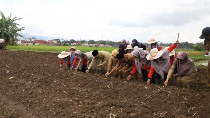 Ketua DPRD Kota Bukittinggi Serahkan Bantuan Pokir untuk KWT Tunas Baru Kecamatan ABTB