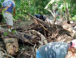 Hujan Lebat Sebabkan Tanah Longsor di Mudiak, Nagari Duo Koto