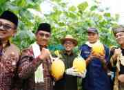 Ketika Bupati Tanah Datar Panen Melon Berkonsep Green House di SMKN 2 Batusangkar
