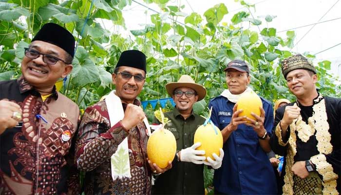 Bupati Tanah Datar Panen Melon Berkonsep Green House di SMKN 2 Batusangkar