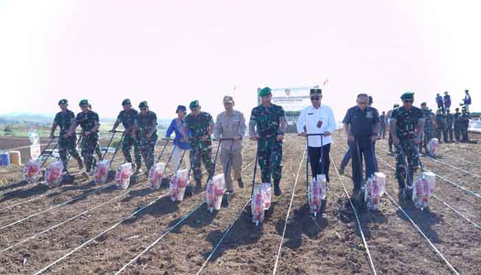 Penanaman Jagung Agrosolution Perdana Di Lahan Milik Kostrad Di Desa Ciemas