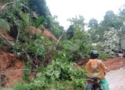 Tiga Jorong Di Nagari Tanjung Gadang Dihantam Longsor Dan Banjir