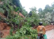 Tiga Jorong di Nagari Tanjung Gadang Dihantam Longsor dan Banjir