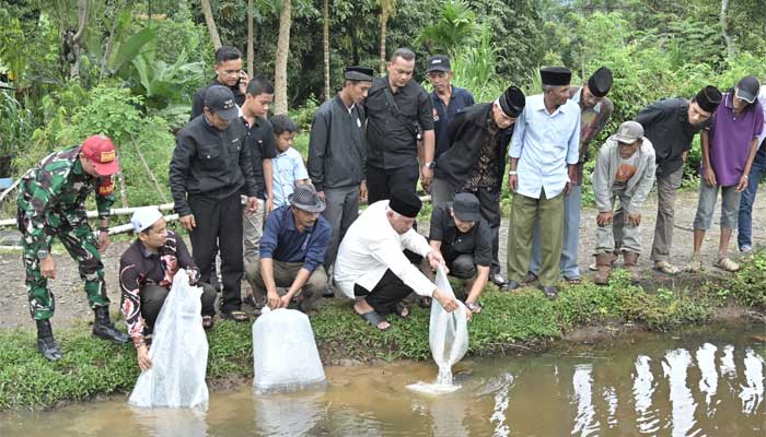 Gubernur Sumbar, Mahyeldi Melepas 8.000 Bibit Ikan Nila Di Talago Simawang