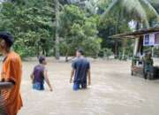 Hujan Lebat, Nagari Salareh Aia Barat Terendam Banjir