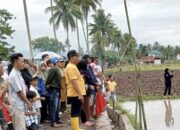 Panitia Pelaksana Pacu Jawi Taruko Ucapkan Terima Kasih kepada Rezka Oktoberia 10 Pacu Jawi Taruko Koto Nan Gadang Kecamatan Payakumbuh Utara, Kota Payakumbuh, Sumbar