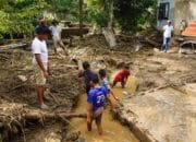Banjir Bandang Terjang Nagari Barulak, Bupati Tanah Datar Tetapkan Masa Tanggap Darurat 14 Hari