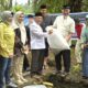 Gubernur Sumbar Serahkan Bantuan Bibit Ikan Nila di Ponpes Andalusia Batu Bajarang Solsel