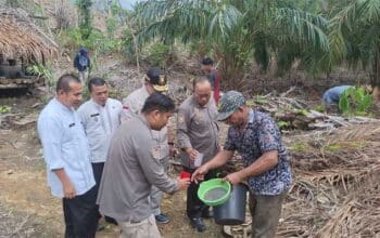 Balitbang Sumbar Lirik Inovasi Limbah Batang Kelapa Sawit Jadi Gula Merah Nagari Sungai Aua
