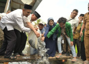 Gubernur Sumbar Hadiri Makan Bajamba Dan Pelepasan Bibit Ikan Di Nagari Minangkabau
