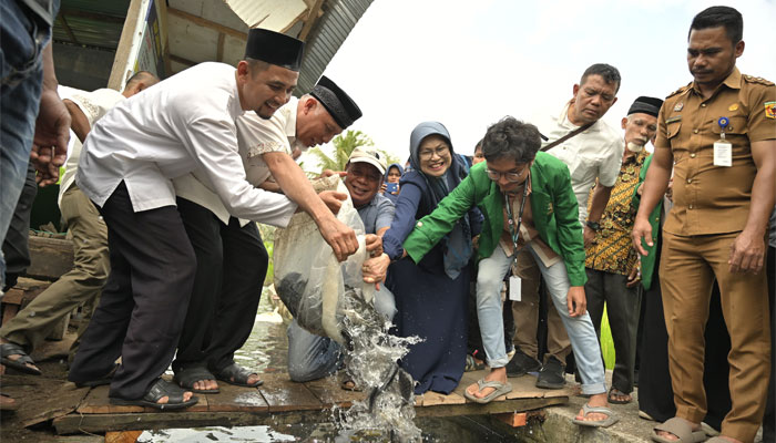 Gubernur Sumbar, Mahyeldi Ansharullah ikut melepas bibit ikan di Lokasi Ikan Larangan Nagari Minangkabau, Kecamatan Sungayang, Kabupaten Tanah Datar