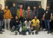 Tanam Ganja di Belakang Rumah, Polres Solok Arosuka Ciduk Warga Sungai Nanam