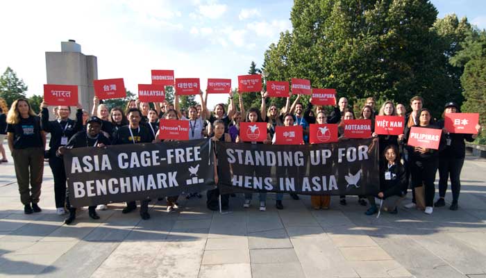 Indonesia Masuk Peringkat ke-7 dalam Laporan Cage-Free Benchmark Asia