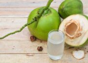 Air Kelapa Muda Baik Dikonsumsi Saat Buka Puasa, Ini Manfaatnya