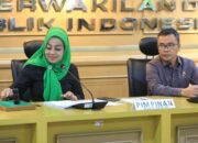 BULD DPD RI rapat bersama pakar kebijakan pajak dan otonomi daerah.