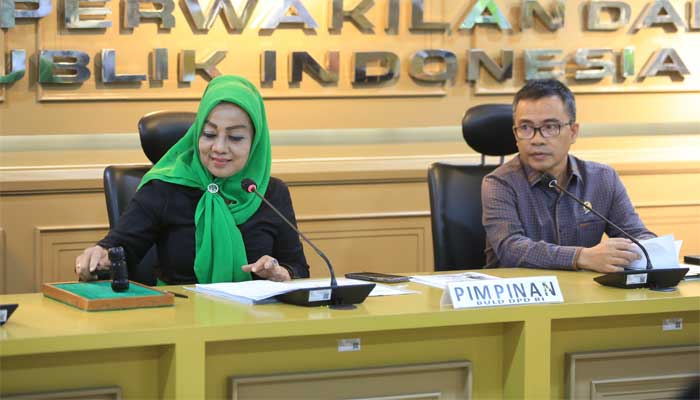 BULD DPD RI rapat bersama pakar kebijakan pajak dan otonomi daerah.