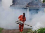 Pemerintah Jorong Tabek Cegah DBD dengan Fogging
