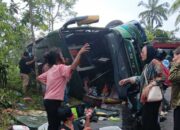 Diduga Rem Blong, Bus Als Rebah Kuda Di Malalak, 2 Meninggal Dan 15 Dirawat