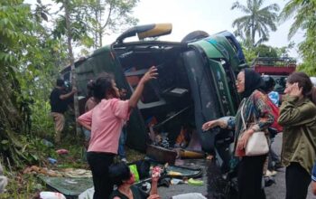 Diduga Rem Blong, Bus Als Rebah Kuda Di Malalak, 2 Meninggal Dan 15 Dirawat