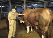 Dinas Pertanian Kabupaten Agam Salurkan Bantuan Ternak dan Mesin