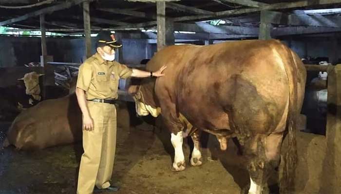 Dinas Pertanian Kabupaten Agam Salurkan Bantuan Ternak dan Mesin