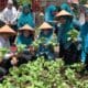 Tim Penilai PLomba Gerakan PKK Provinsi Sumbar kunjungi Nagari Tandikek, Kecamatan Kinali, Pasaman Barat