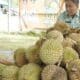 Durian Solok Selatan