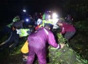 Pohon Tumbang Ke Ruas Jalinsum Di Gunung Medan, Lalu Lintas Sempat Macet 2 Kilometer